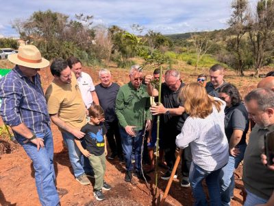 55058310111 3c4696d3da k