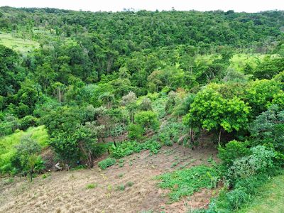 dcim100mediadji 0081.jpg