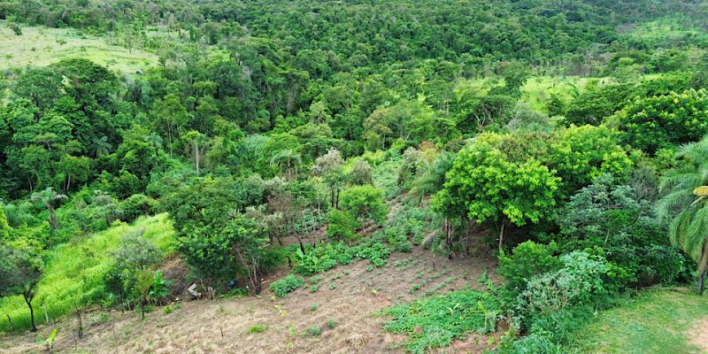 dcim100mediadji 0081.jpg