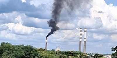 suzano fumaça preta