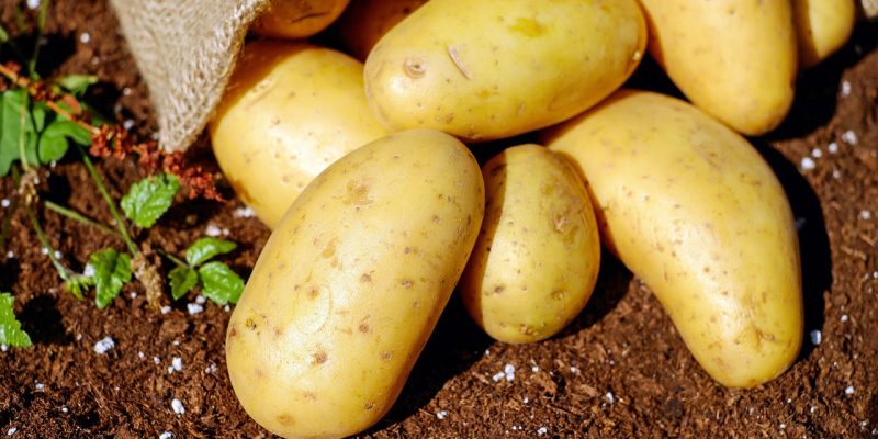 batata
