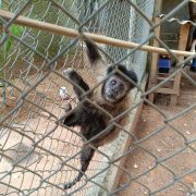 70c1c522 f68d 4c79 a206 155cde978ea6