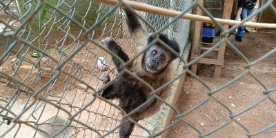 70c1c522 f68d 4c79 a206 155cde978ea6