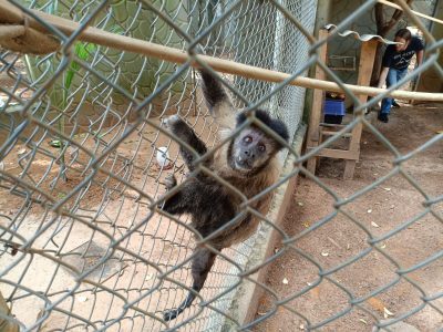 70c1c522 f68d 4c79 a206 155cde978ea6