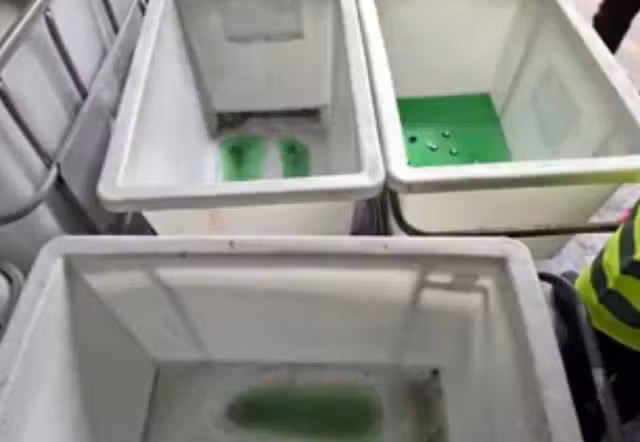 ypê 2
