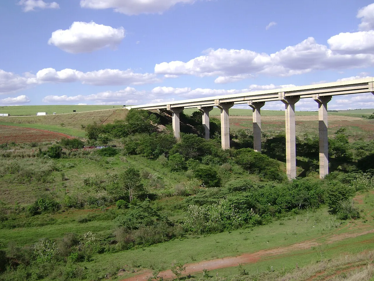 ponte do esqueleto limeira sp panoramio (9)